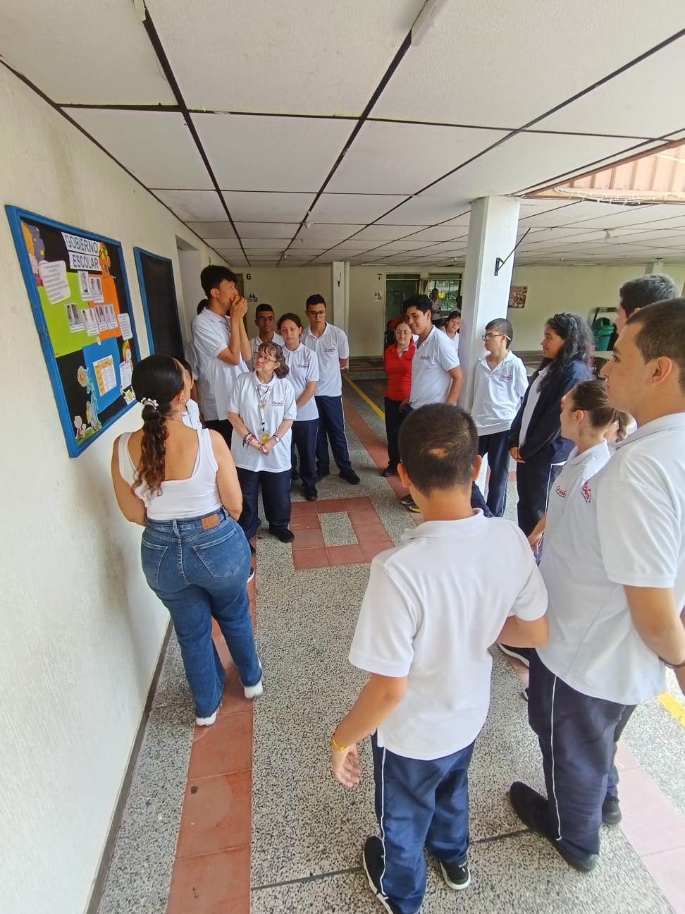 votacion